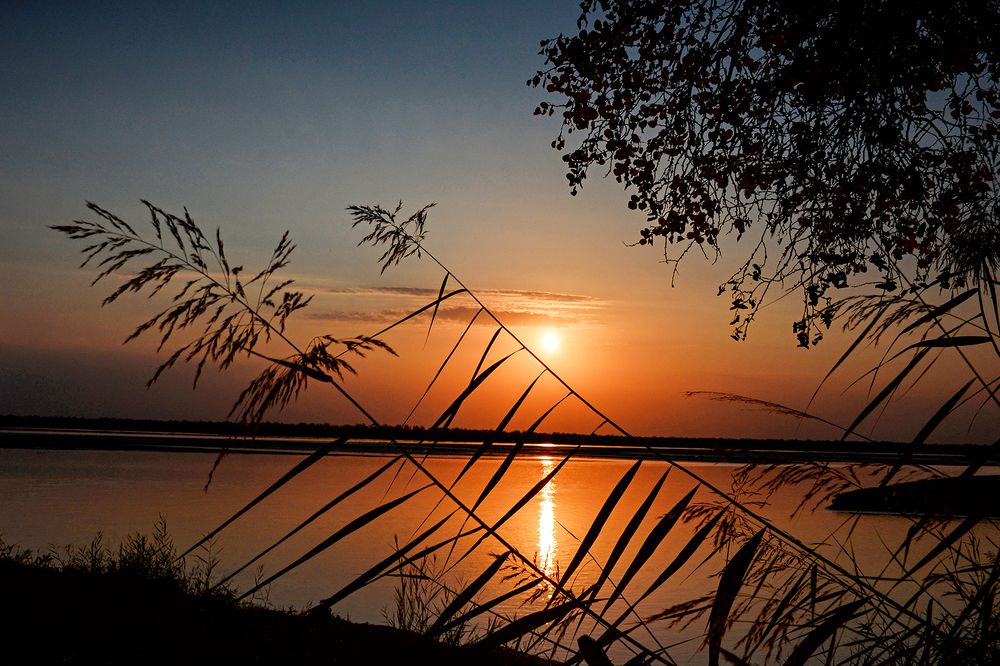 Фотография автора Игорь Ломов