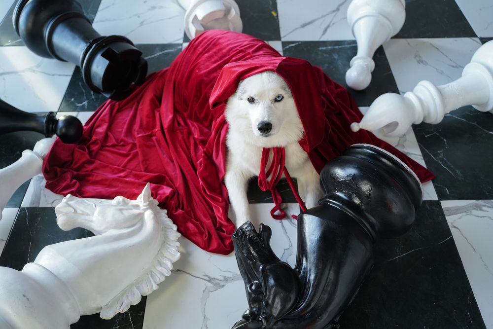 Photograph by Татьяна