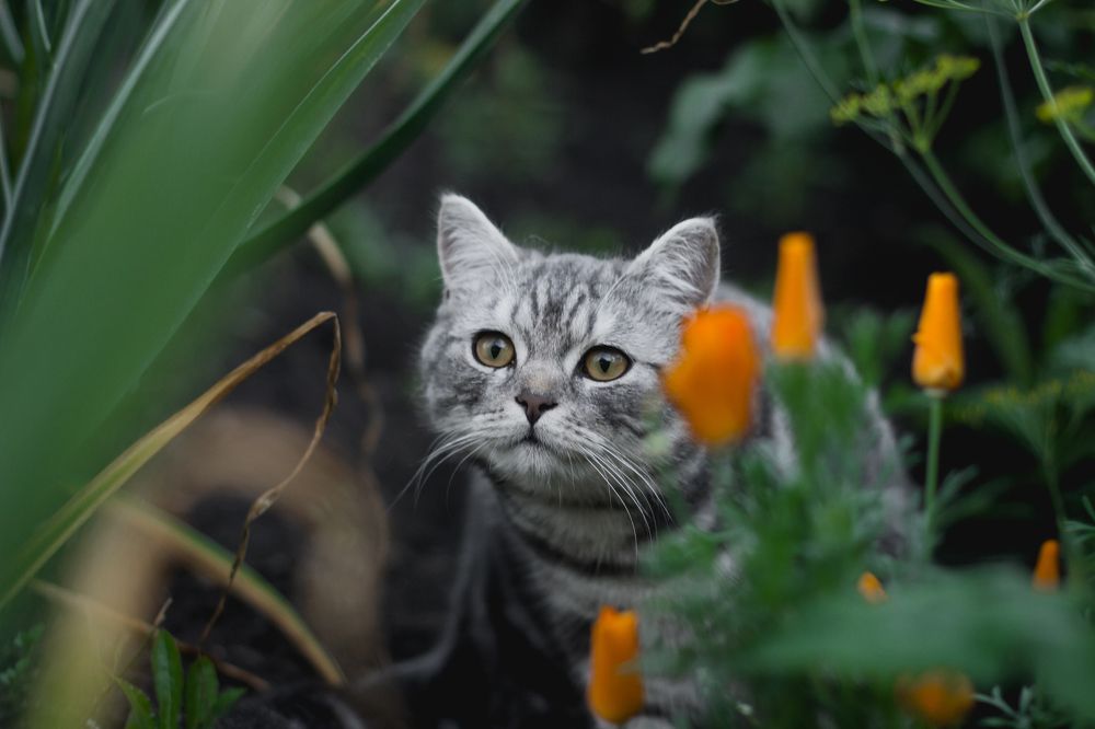 Photograph by Ольга Макарова