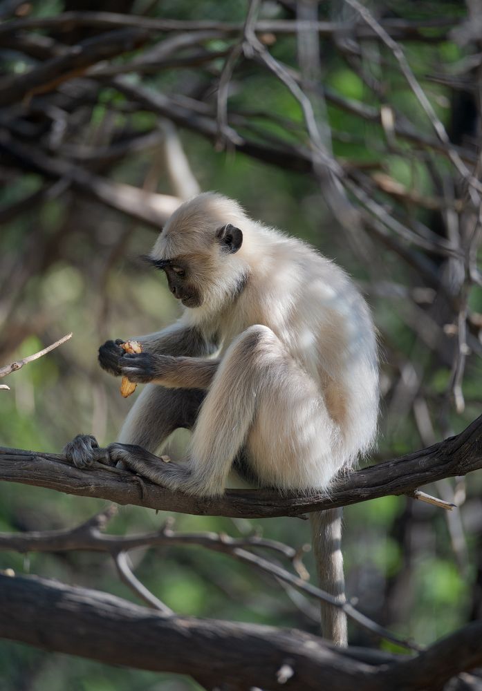 Photograph by Эрнест Вахеди