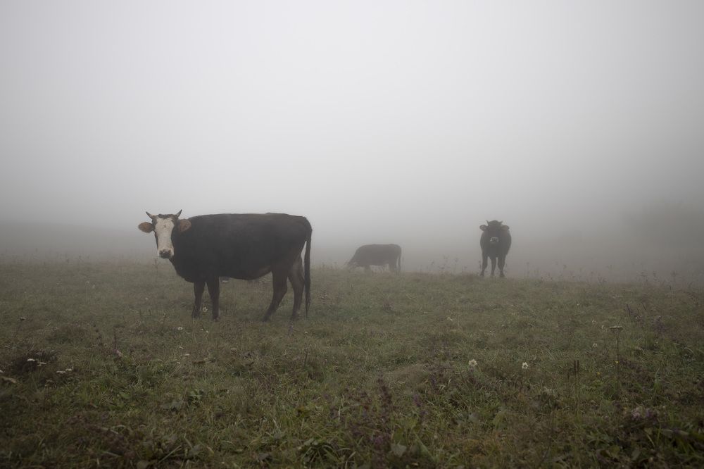 Photograph by Оксана Ворсина