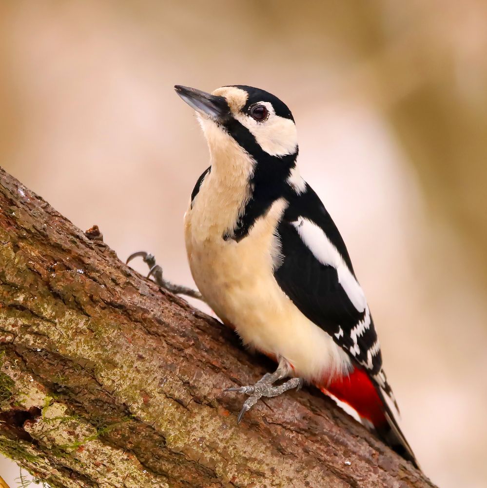 Photograph by Алексей