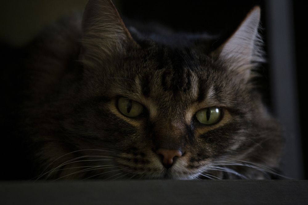 Photograph by Толмачёва Ирина