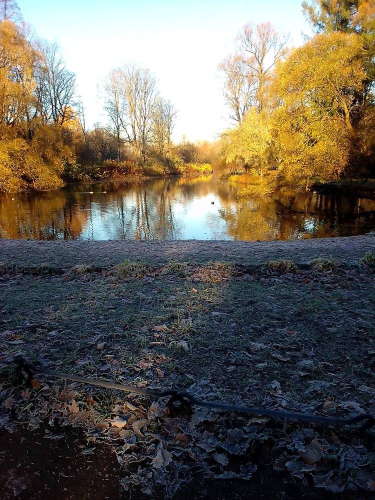 Photograph by Ольга Коркина