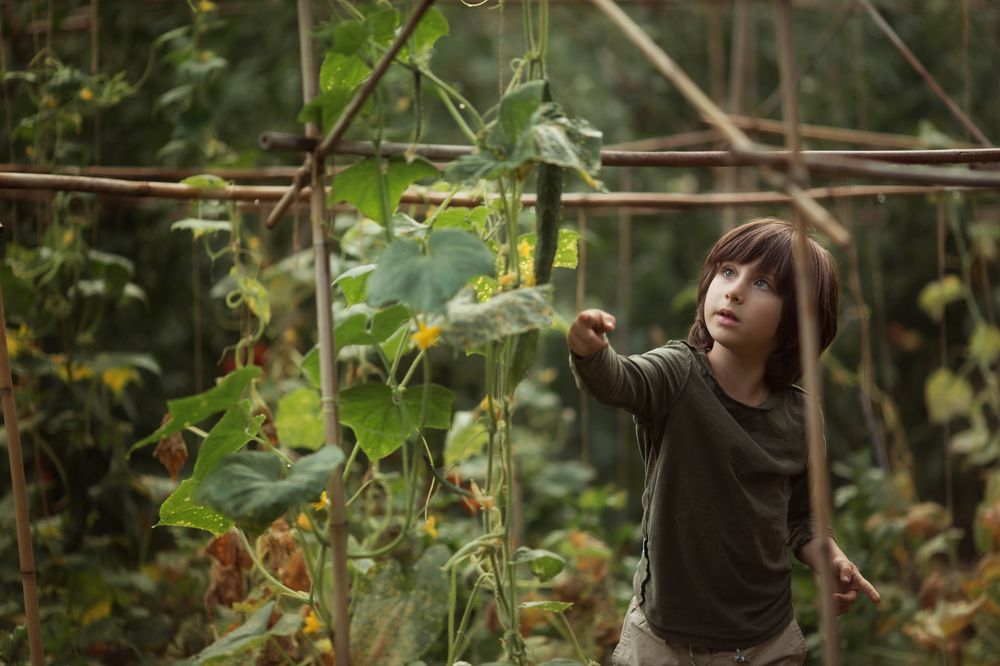 Photograph by Елена Гаврильчик