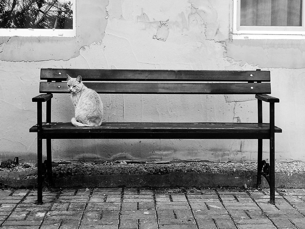 Photograph by Даниил Бушуев