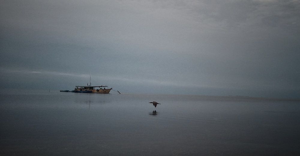 Photograph by Adelaida Frias Hernández