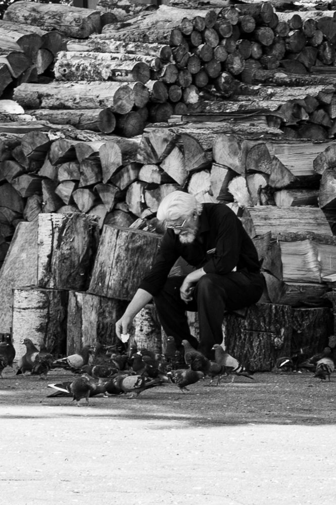 Photograph by Ольга Решетникова