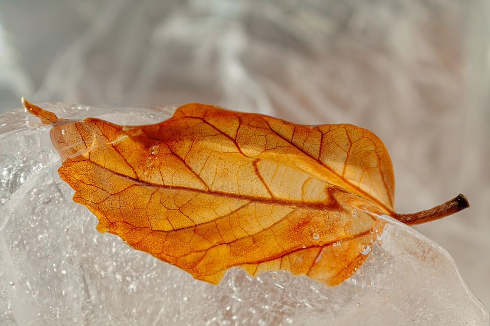 Фотография автора Валерий Елистратов