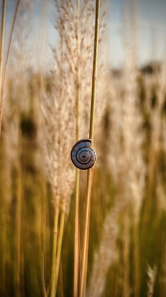 Photograph by ali afsar