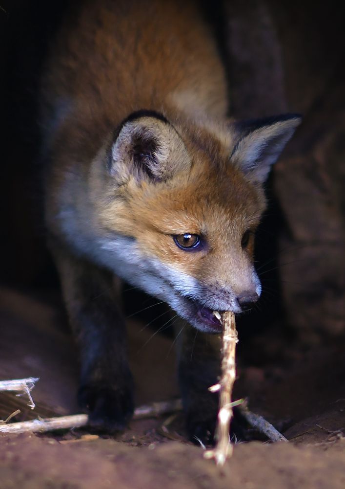 Photograph by Елена