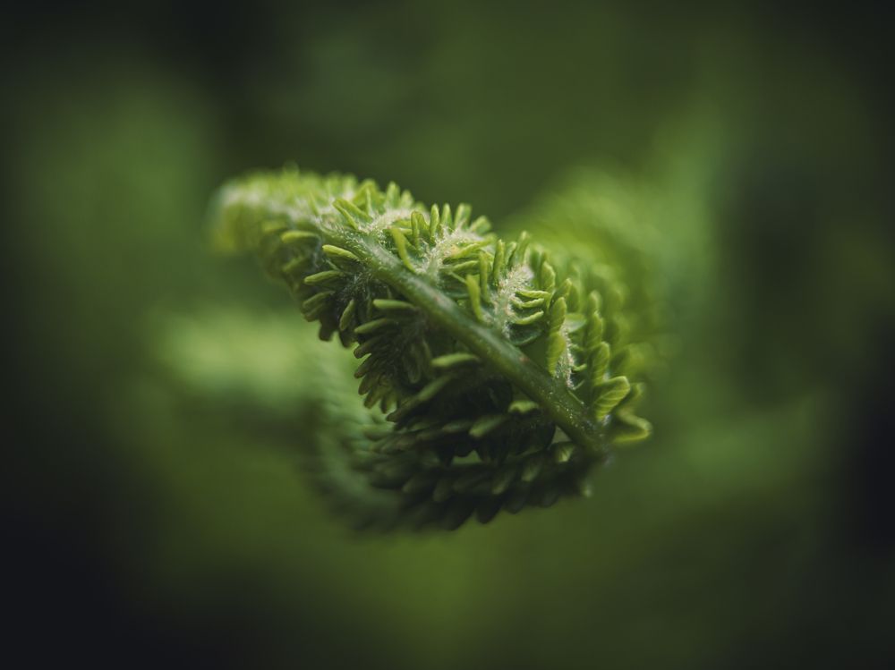 Photograph by Юрий Говорков