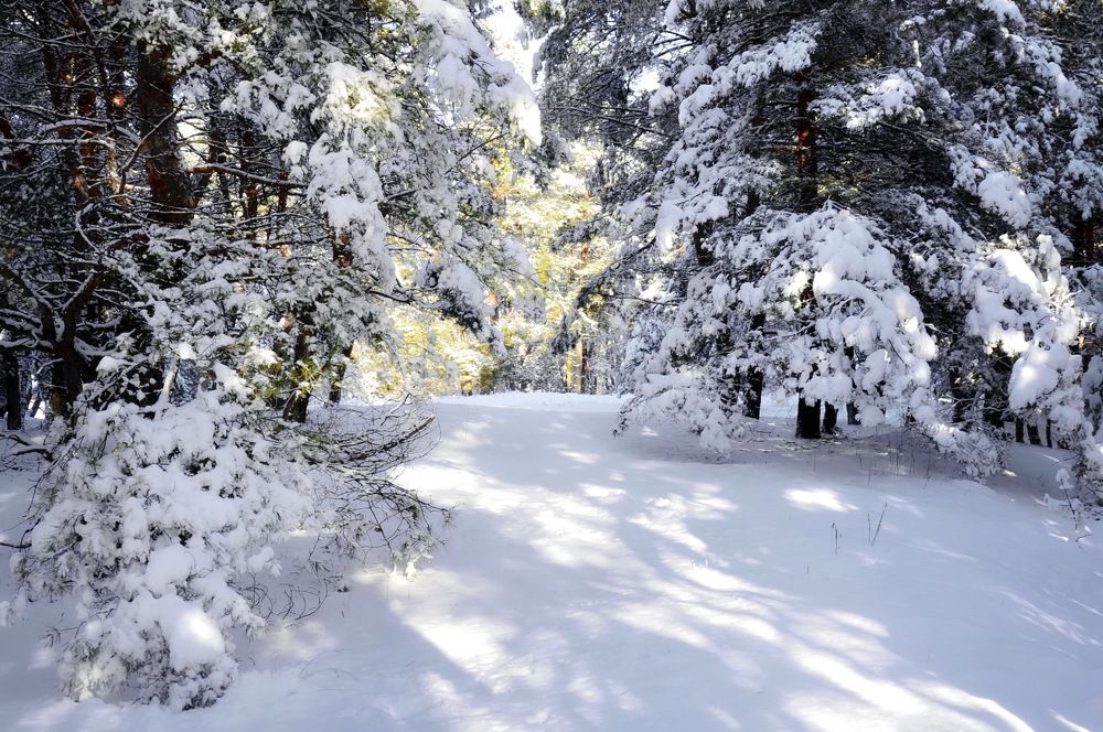 Photograph by Владимир Тертышник