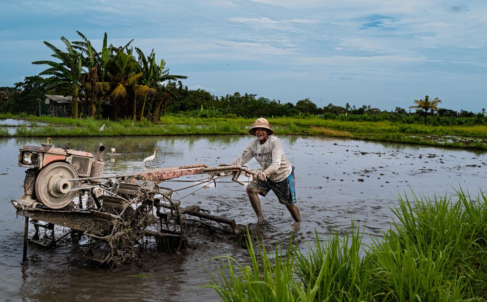 Photograph by Inna Skryagina