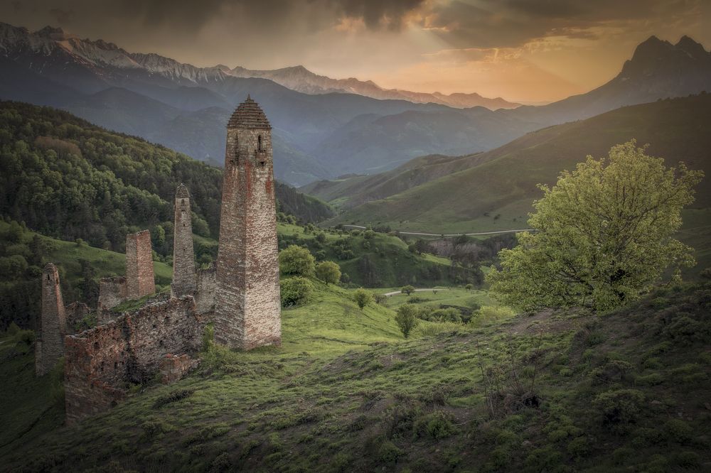 Фотография автора Елена Гусева