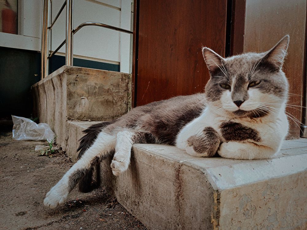 Photograph by Марина Храпова