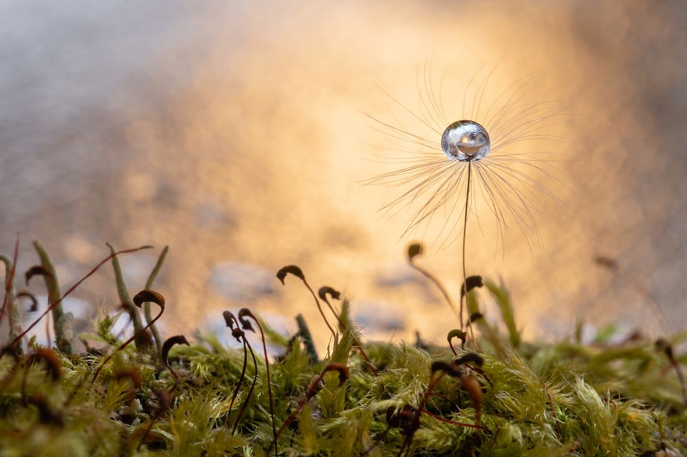 Photograph by Екатерина Караваева