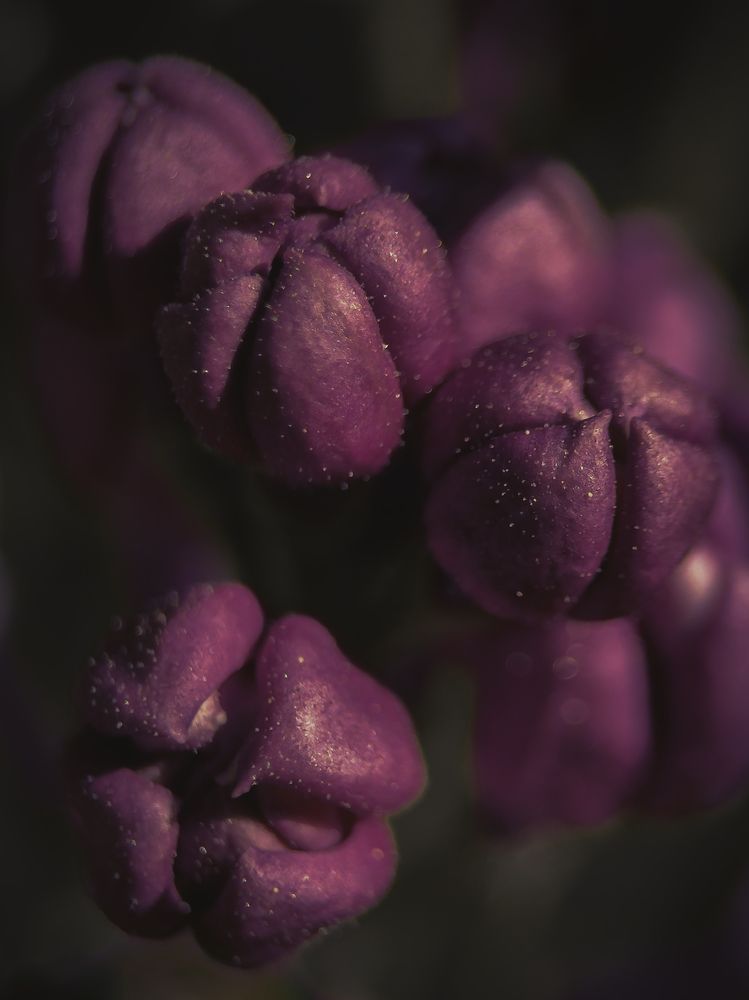 Photograph by Юрий Говорков