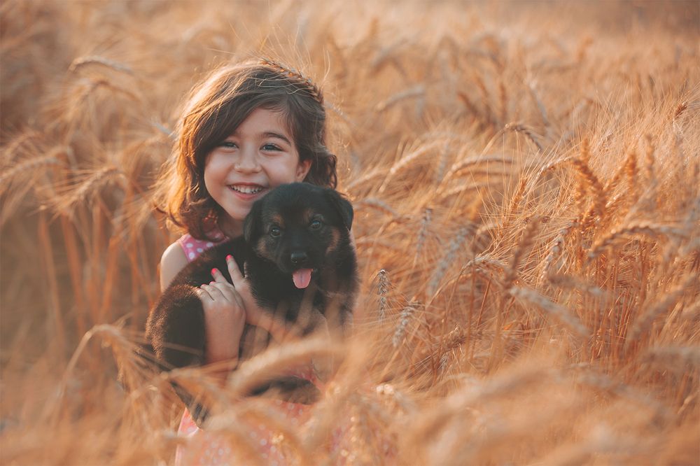 Photograph by Goldisgholami