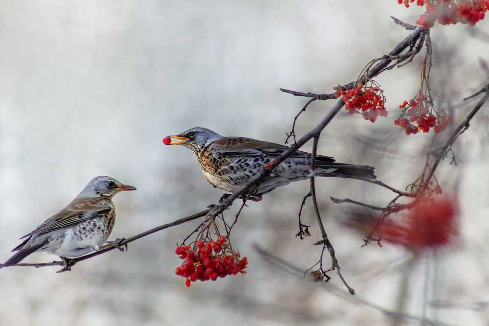 Photograph by Александр Канцур