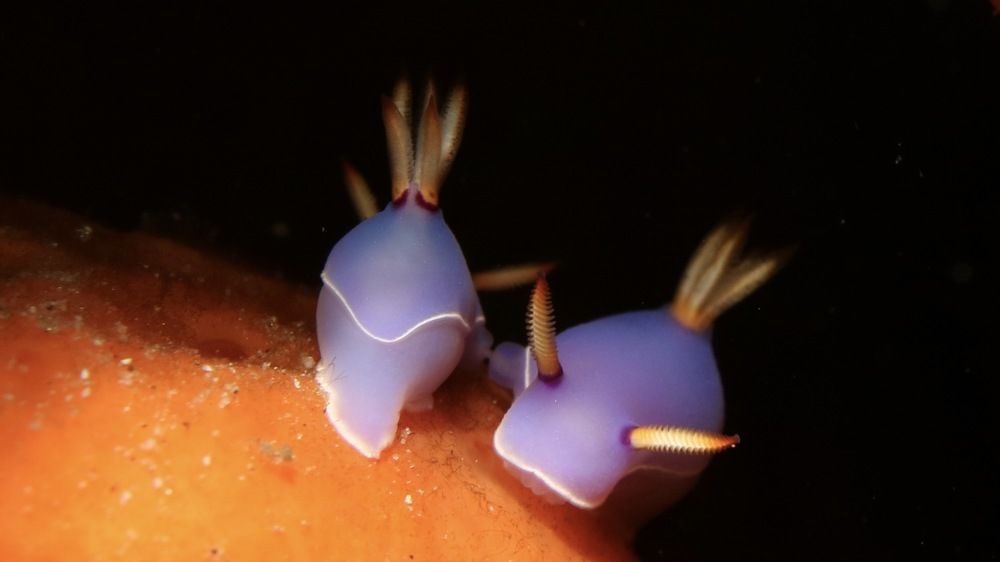 Photograph by Vadim Sayfullin