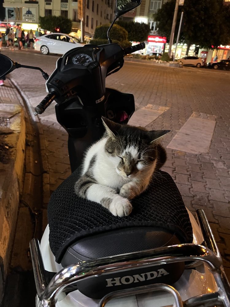 Photograph by Александр Мокров