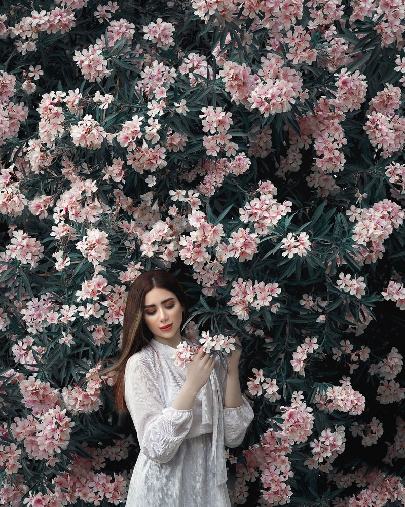 Photograph by fatemeh zarei