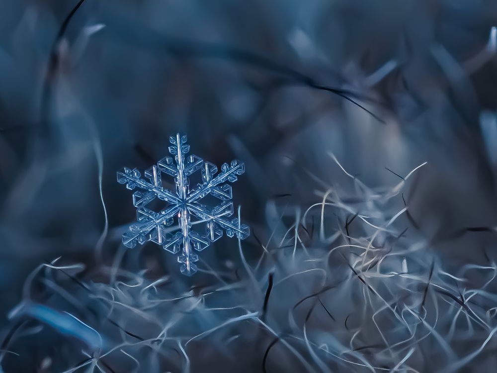 Фотография автора Анастасия Шахотская