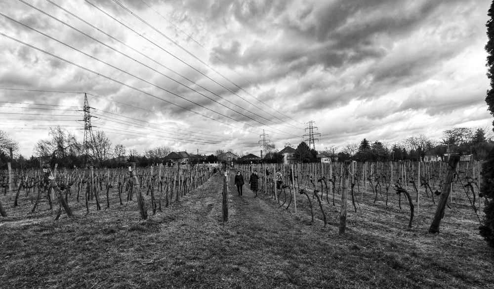 Фотография автора Nomin Jerabek