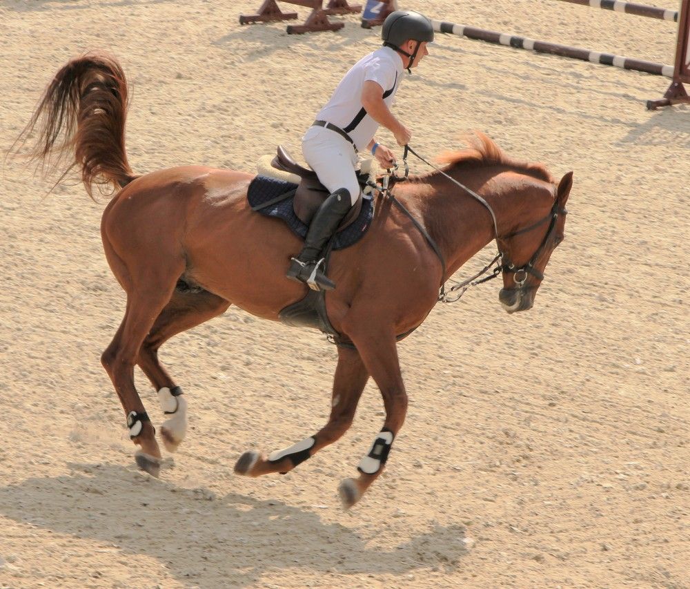 Фотография автора Юлиана Чудакова