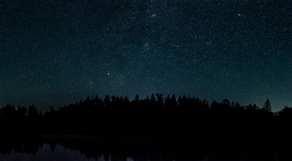 Photograph by Алексей Ромадов