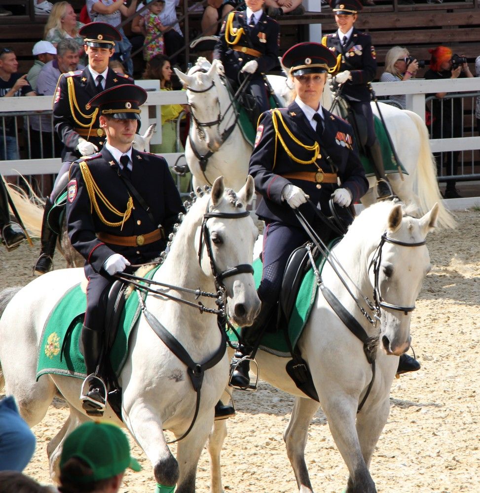 Конная полиция