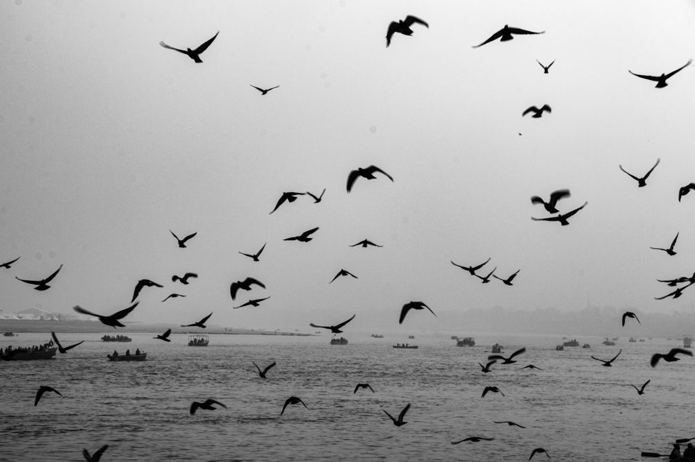 Photograph by saikat chanda