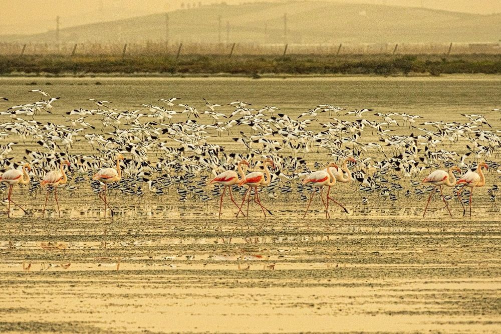 Photograph by Amelia Pardo