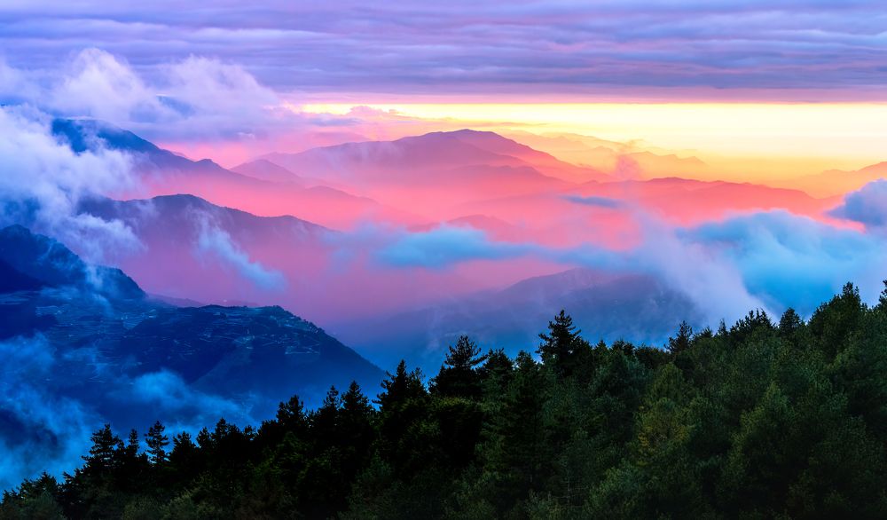 Photograph by HR Tso