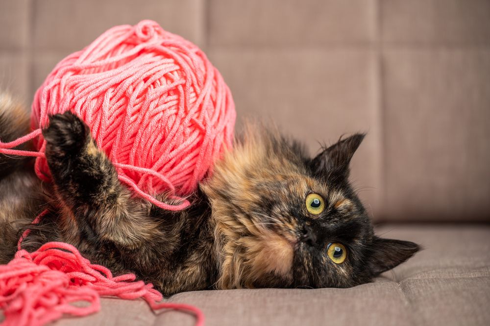 Photograph by Иван Грачев