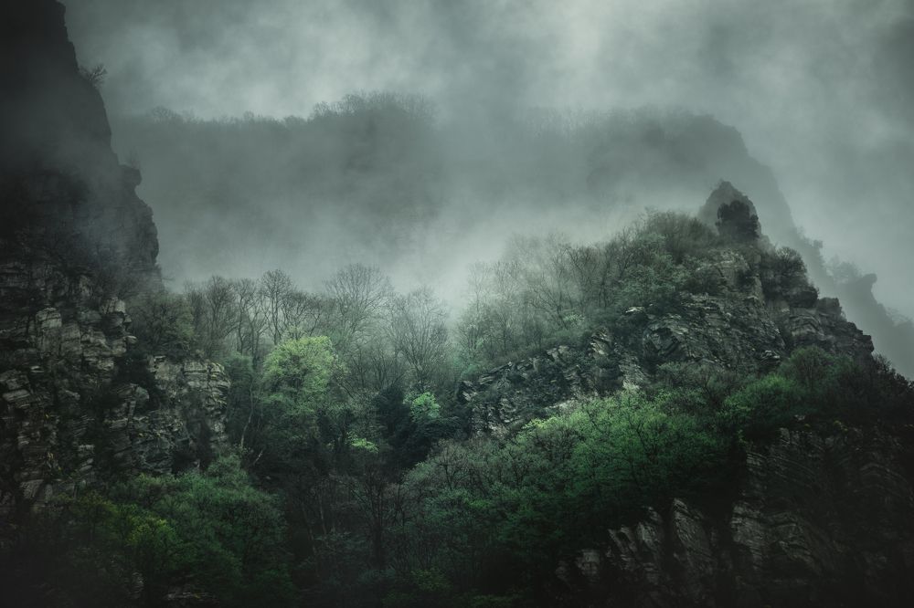 Photograph by Karamazov Vladimir