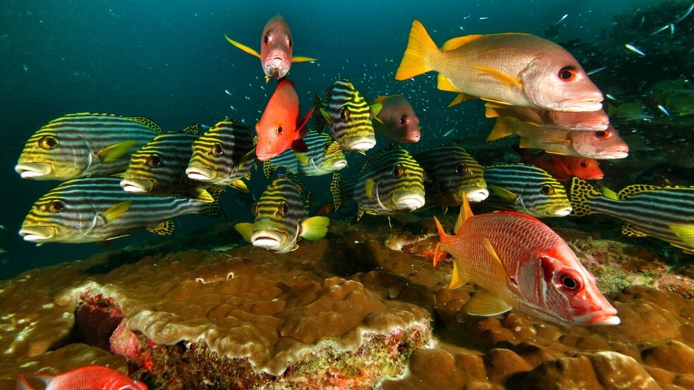 Photograph by Vadim Sayfullin