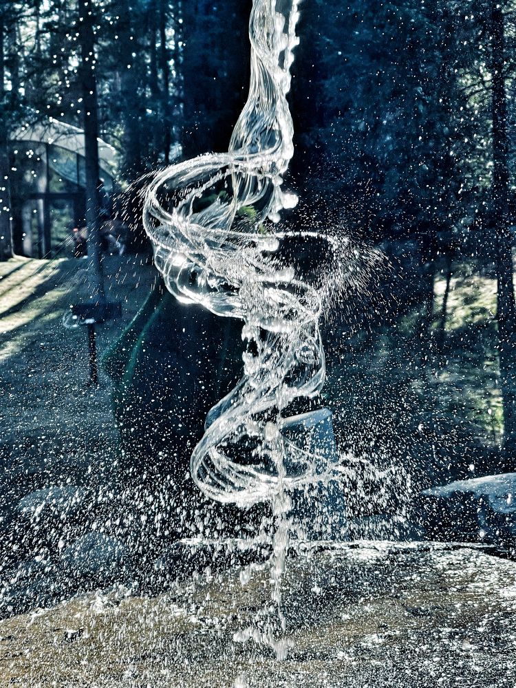 Photograph by Evgenia Barinova