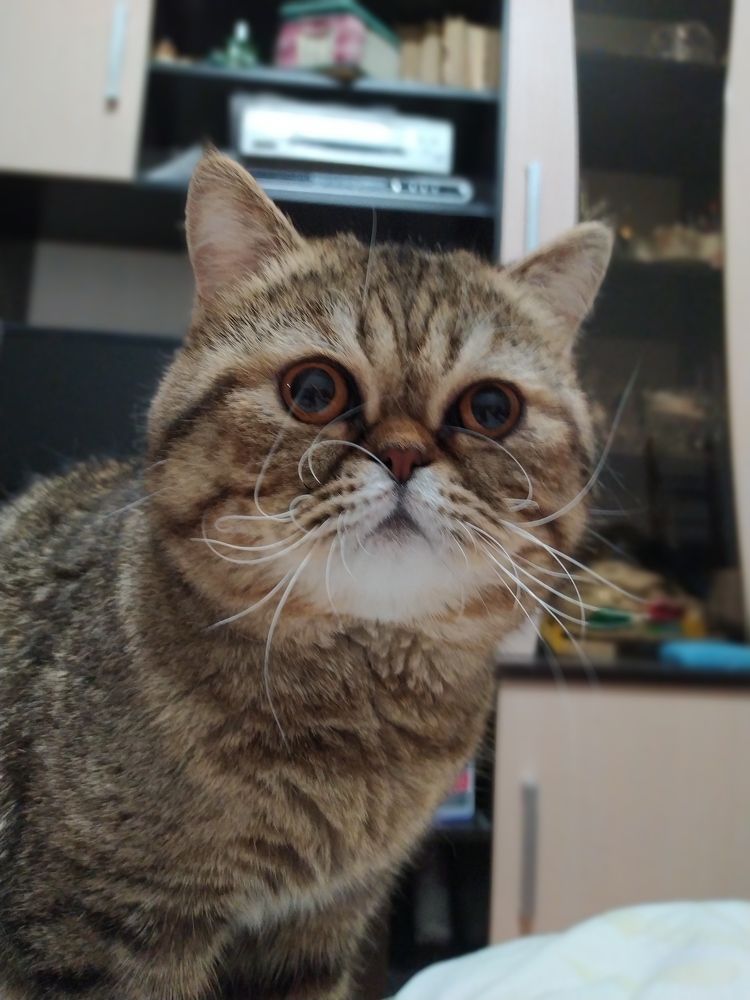 Photograph by Татьяна