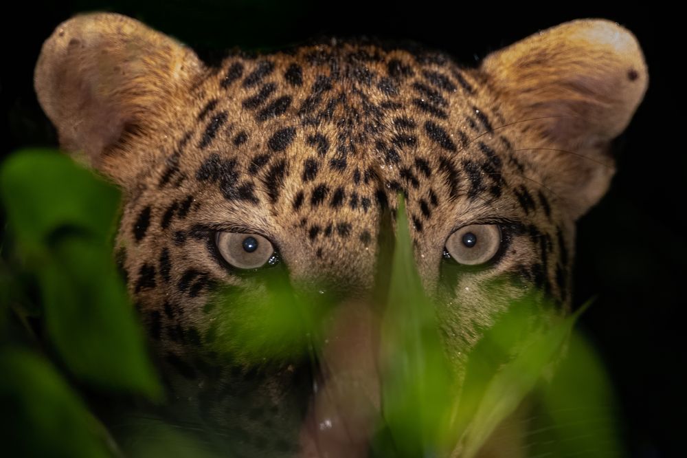 Photograph by Rahul Khadiwala