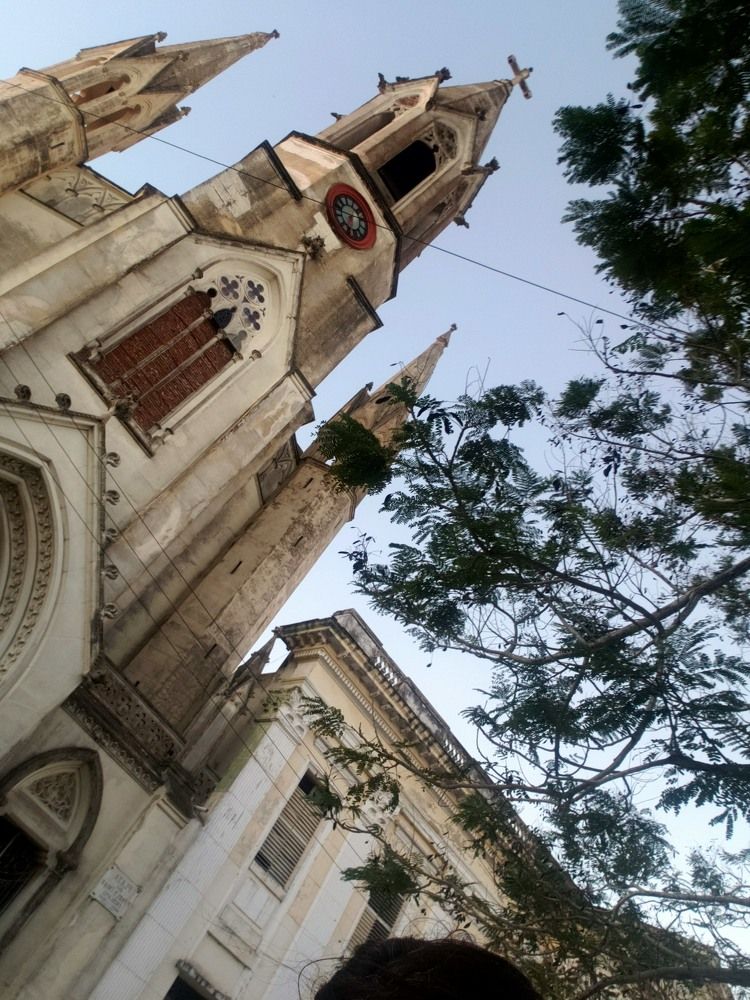 Elevation