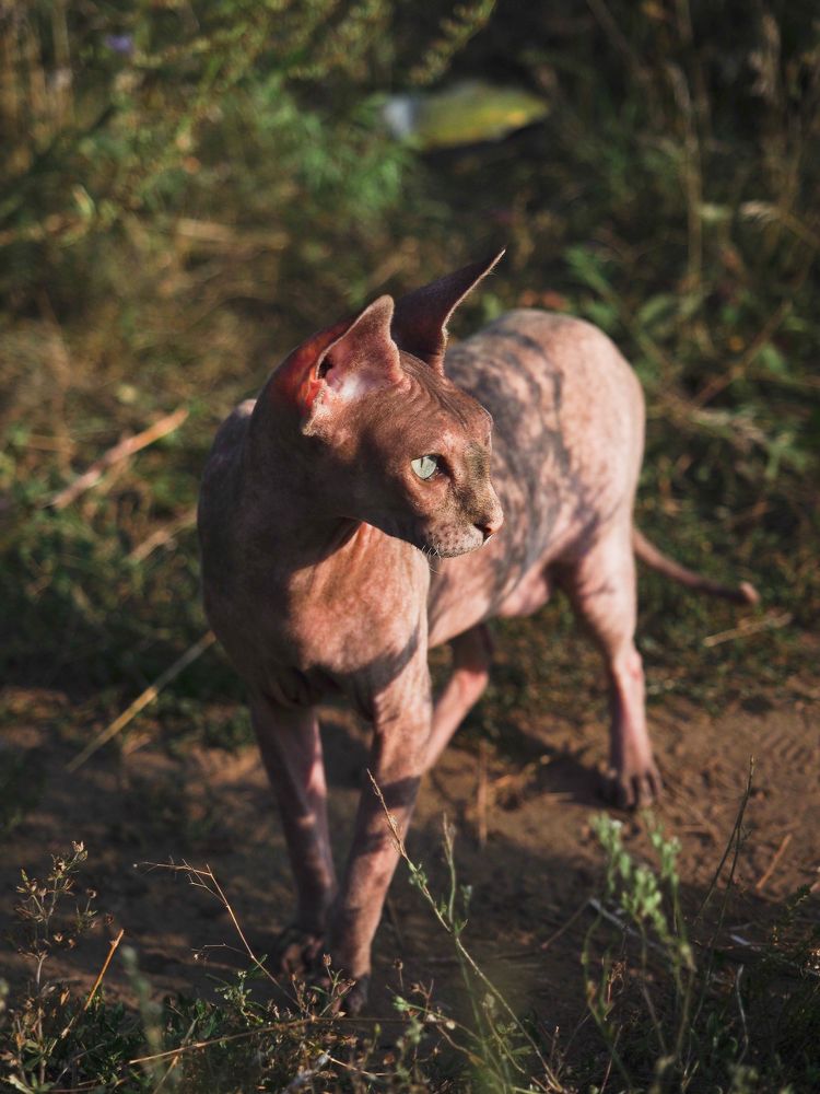 Фотография автора Svetlana Inyusheva