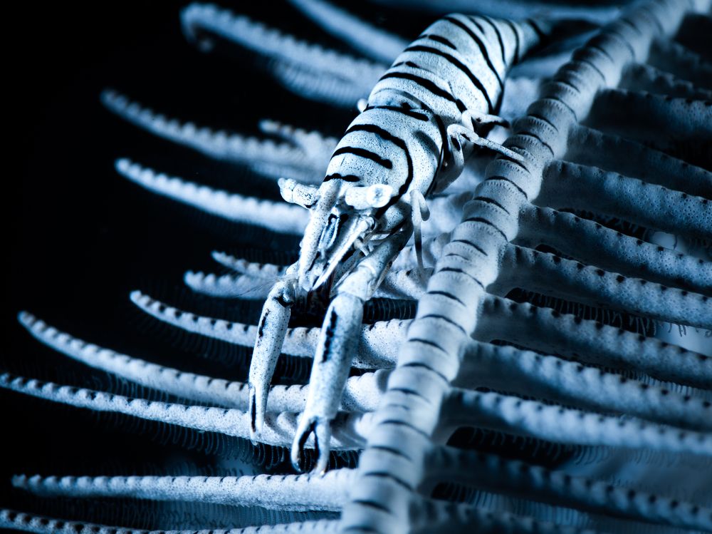 Photograph by Cecilia Muniz