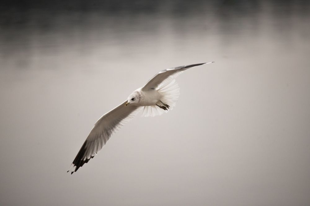 Photograph by Дима Захаров