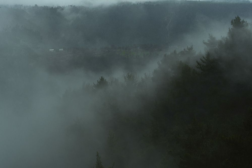 Photograph by Хаустова Олька