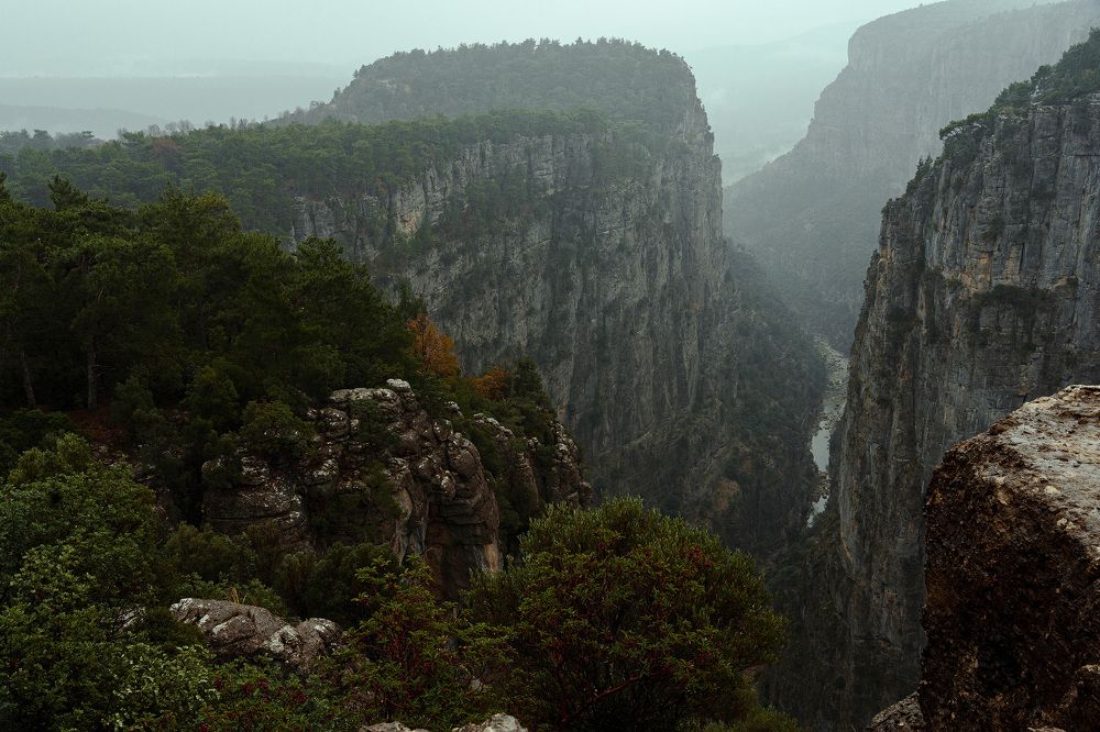 Photograph by Хаустова Олька