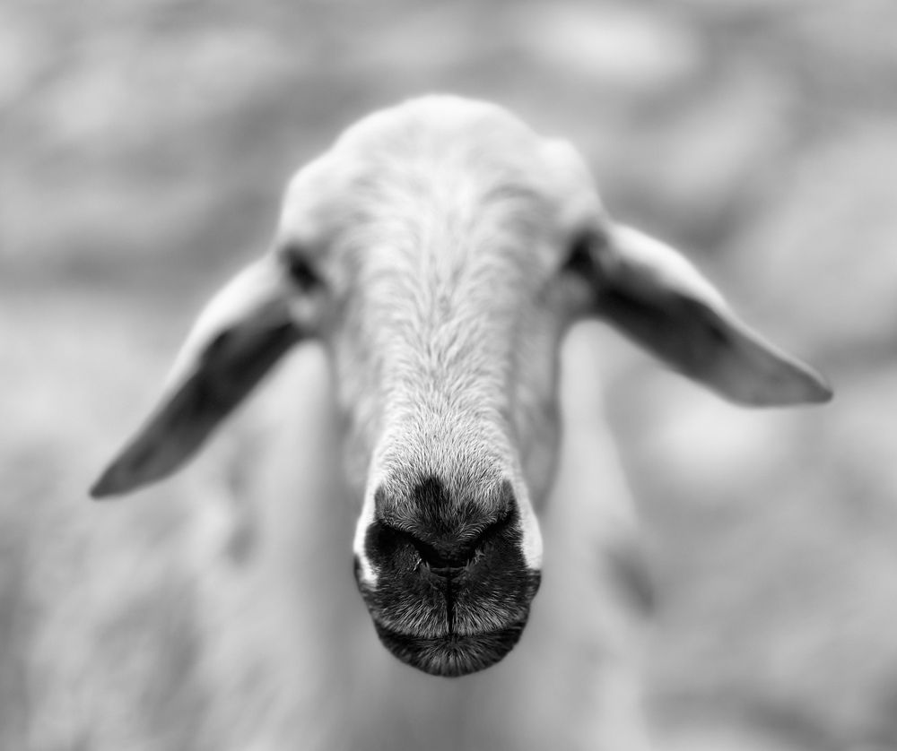 Photograph by Evgenia Barinova