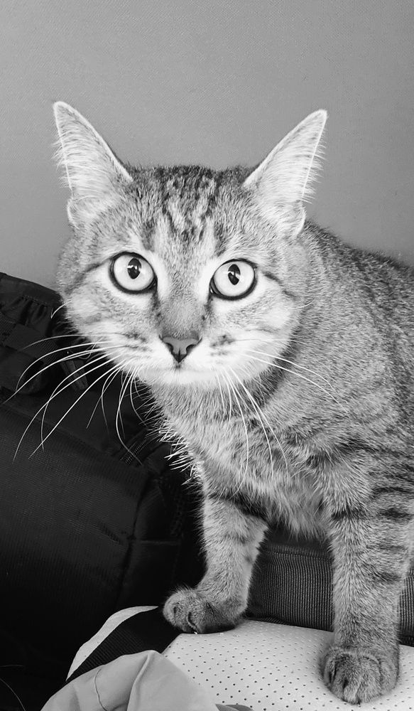 Photograph by Евгения