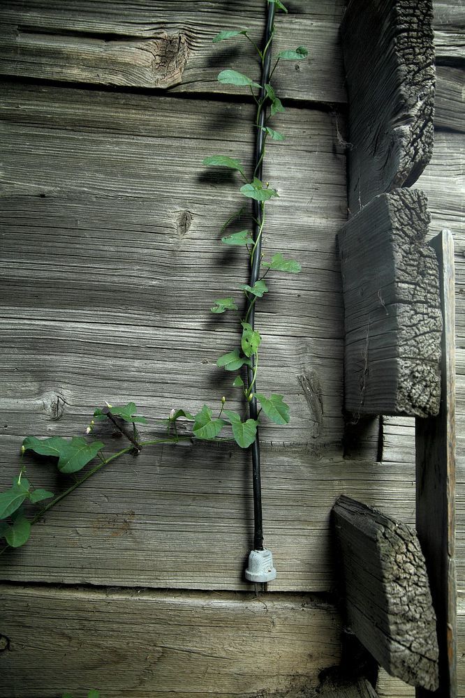 Photograph by Юрий Варюхин